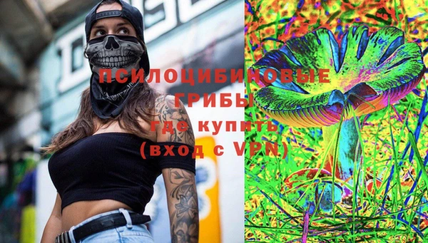 тгк Алексин
