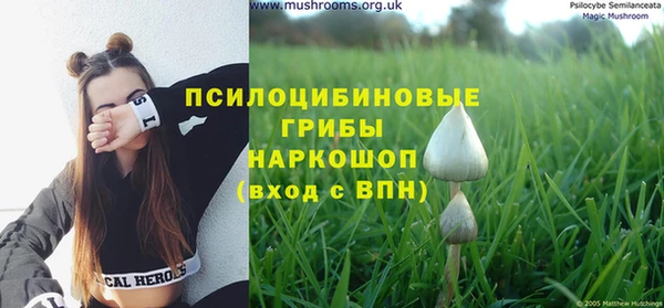 круглые Абинск